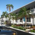 Dolphin Motel