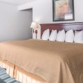 Econo Lodge Ponderosa