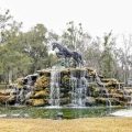 Equestrian Springs