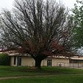 Executive Inn Hotel & Conference Center