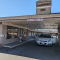 Flamingo Inn