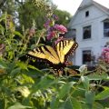 Fox River Bed & Breakfast