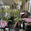 Green Hotel & Resort