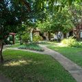 Green Tree Lodge