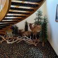 Greenwood Village Inn and Suites