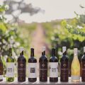 Grey Wolf Vineyard Inn