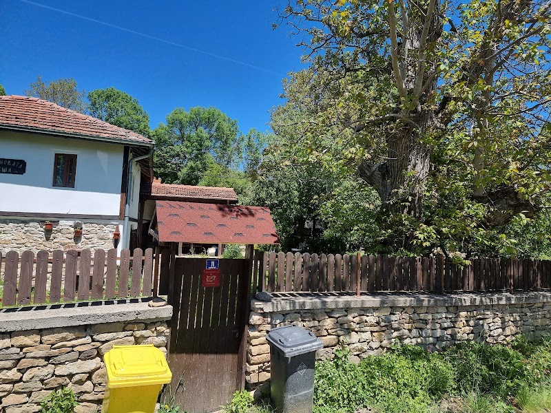 Guest House Vitanova in Gabrovo, Bulgaria