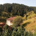 Guest House Zora