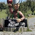 Halcyon Days