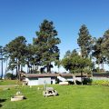Hidden Pines RV Resort