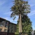 Holiday Inn Express & Suites Lacey