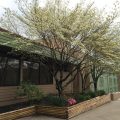 Holiday Lodge Hotel & Conference Center