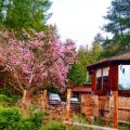Holly Lane Gardens