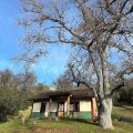 Homestead Cottages