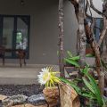 Honey Lodge