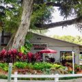 Hontoon Landing Resort & Marina