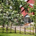 Hotel Krapi