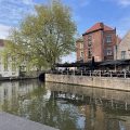 Hotel van Cleef
