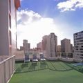 Ilima Hotel