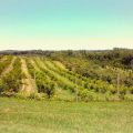 Kimmel Orchard & Vineyard B&B