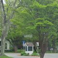 Kingston is a small village in Rhode Island, and options for hotels or B&Bs directly within its boundaries are very limited.