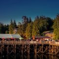 Knudson Cove Marina