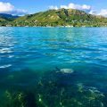 Lanikai Beach Rentals