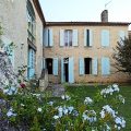 Le Rêve d’Alice