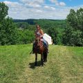 Little Creek Ranch