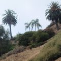 Malibu Ridge