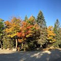 Maplelag Resort