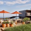 Marram