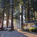 Masoods Lodge