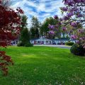 Mayberry Motor Inn