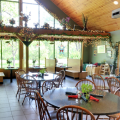 McCaffrey’s Dolce Vita Villa