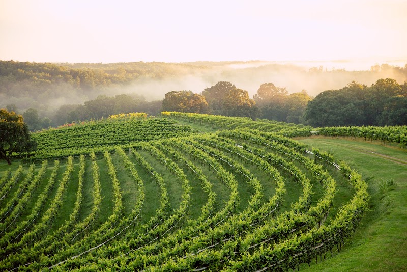 Montaluce Winery & Restaurant in Dahlonega, Georgia, United States