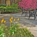Morris House Hotel