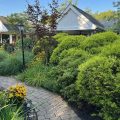 Mount Vernon Inn