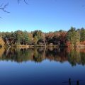 Mountain Lake Cottages