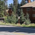Mountainback at Mammoth