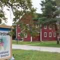 Nestledown