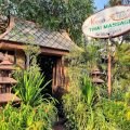 Nimman House
