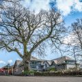 Oak Tree Inn Dexter