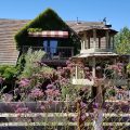 Orchard Hill Farm