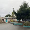 Pacific Sunset Inn