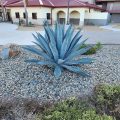 Pacific Views Lodge