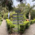 Palmwood Lodge