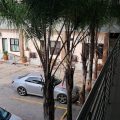 Pamo Hotel and Restaurants
