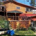 Pine Rose Inn