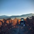 Plaisance Ranch B&B